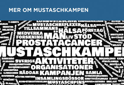 Mer om Mustaschkampen